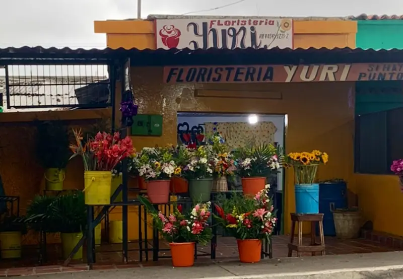 Foto de Floristería Yuri F.P.