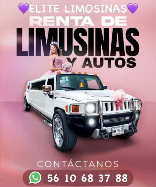 Foto de RENTA DE LIMOSINAS Y DE PARTYBUS