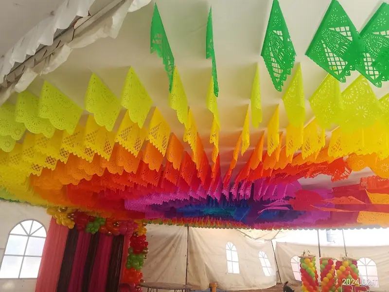 Foto de PAPEL PICADO VIVA CREARTE